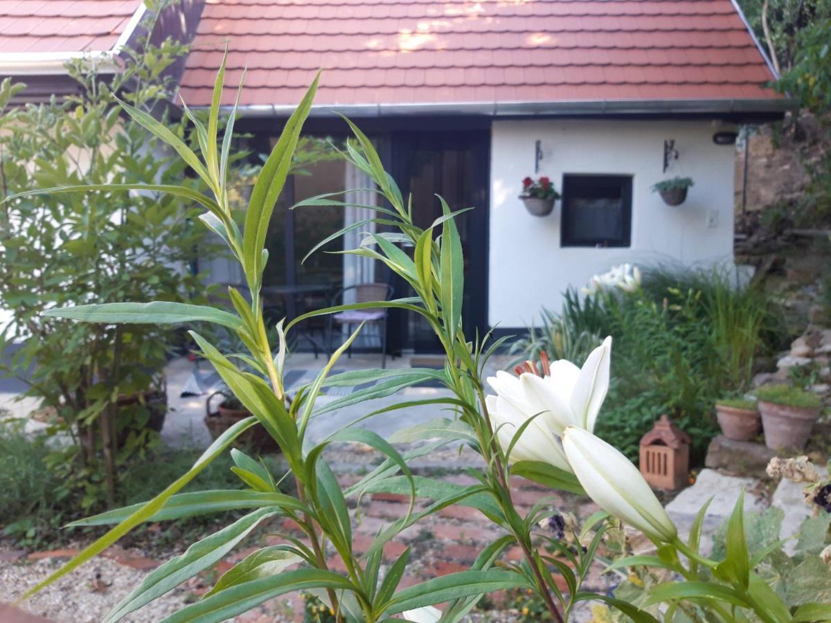 Appartement Kismadar Vendeghaz Noszvaj Extérieur photo