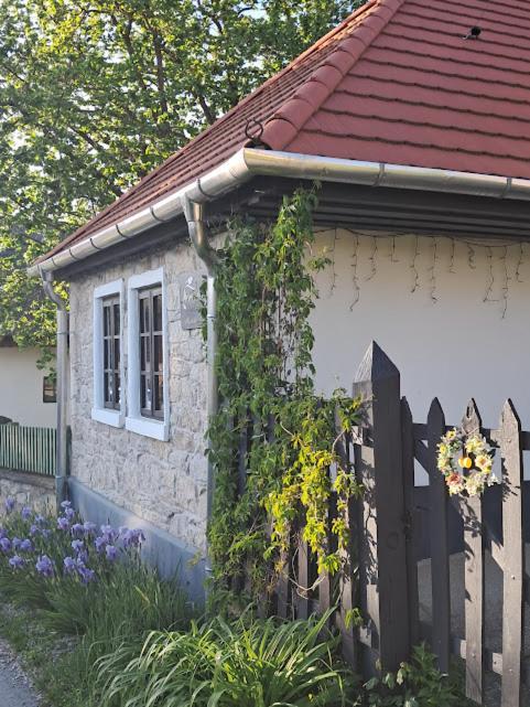 Appartement Kismadar Vendeghaz Noszvaj Extérieur photo