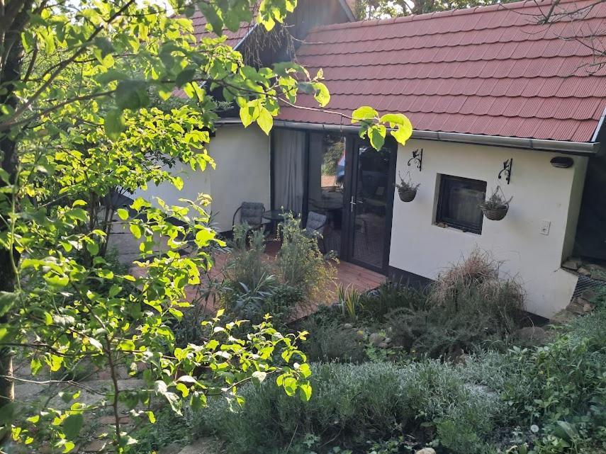 Appartement Kismadar Vendeghaz Noszvaj Extérieur photo